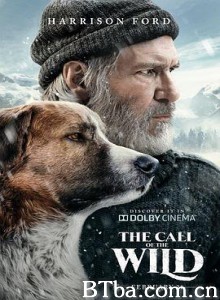 野性的呼唤/荒野的呼唤/极地守护犬(港/The Call of the Wild