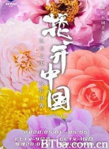 花开中国 (2020) 1080P BT磁力 迅雷网盘下载-影音屋