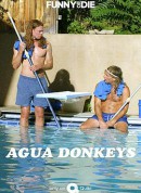 水驴清洁公司/Agua Donkeys