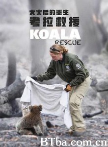 大火后的重生：考拉救援 Koala Rescue (2020) 720P BT磁力 迅雷网盘下载