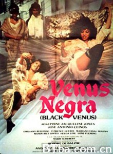 欲拒还迎 Black Venus (1983) 1080P/720P BT磁力 迅雷网盘下载