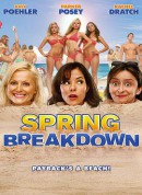春假一团糟/青春趴趴走(台)/Spring Breakdown