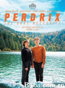 佩尔德利 Perdrix (2019) 1080P BT磁力 迅雷网盘下载