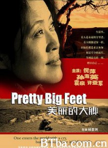 美丽的大脚 Pretty Big Feet For the Children (2002) 1080P BT磁力 迅雷网盘下载