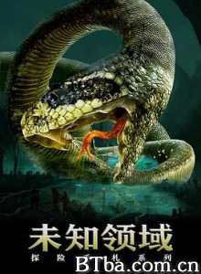 探险手札之未知领域 探险手札 Exploration of continued uncharted territory (2020) 720P BT磁力 迅雷网盘下载