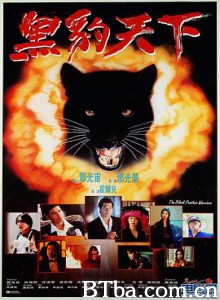 黑豹天下 Warriors: The Black Panther The Black Panther Warriors (1993)  BT磁力 迅雷网盘下载