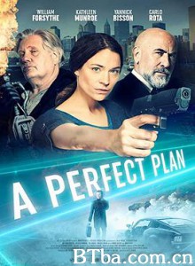 完美计划 A Perfect Plan (2020) 720P BT磁力 迅雷网盘下载