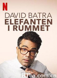 大卫·巴特拉：房间里的大象 David Batra: Elefanten i rummet (2020) 720P BT磁力 迅雷网盘下载