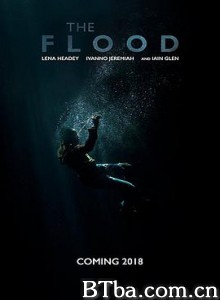 洪水 The Flood (2019) 1080P BT磁力 迅雷网盘下载