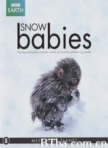 冰上动物宝宝 雪地动物宝宝 雪宝宝 Snow Babies (2012)  BT磁力 迅雷网盘下载