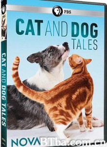 狗的故事 Dog Tales (2020) 720P BT磁力 迅雷网盘下载
