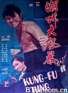 潮州大风暴/Kung Fu King