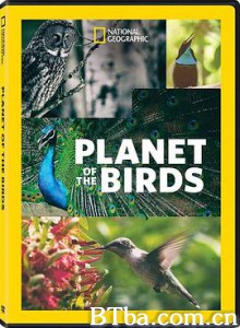 鸟类星球 Planet of The Birds (2018) 1080P BT磁力 迅雷网盘下载
