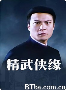 天子骄龙 精武侠缘 精武小英雄 天子驕龍 (1995) 1080P BT磁力 迅雷网盘下载
