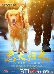 忠犬归来 (2020) 1080P BT磁力 迅雷网盘下载