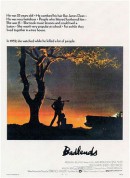 穷山恶水/恶土/不毛之地/Badlands