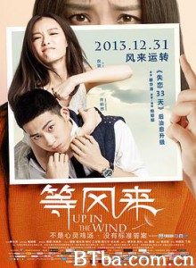 等风来 幸福旅行团 Up in the wind (2013) 1080P/720P BT磁力 迅雷网盘下载