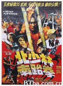 北少林南跆拳 South Shaolin Vs North Shaolin North Shaolin Vs South Shaolin (1984) 1080P BT磁力 迅雷网盘下载