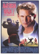 美国忍者2：战斗人/忍者大决战/美国忍者2/American Ninja 2: The Confrontation