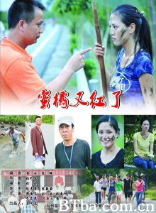 蜜橘又红了 Orange Red Again (2010)  BT磁力 迅雷网盘下载