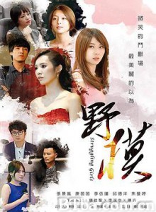 野模-720p|1080p高清bt种子下载