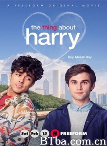 关于哈利的那些事 The Thing About Harry (2020) 1080P BT磁力 迅雷网盘下载