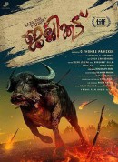 野牛/Jallikattu