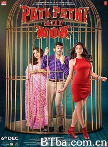 丈夫、妻子和情人 Pati Patni Aur Woh (2019) 1080P/720P 高清免费观看 BT磁力 迅雷网盘下载