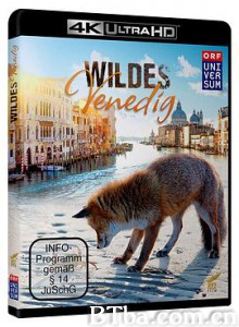 野性威尼斯 Wild Venice (2014) 1080P BT磁力 迅雷网盘下载