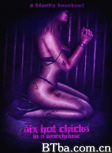 六个辣妹仓库生死斗 Six Hot Chicks in a Warehouse (2017)  BT磁力 迅雷网盘下载