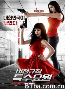 非正式特工 兼职特务(台) 临时特工 비정규직 특수요원 (2017)  BT磁力 迅雷网盘下载