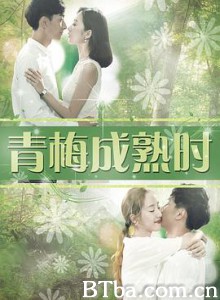 青梅成熟时 (2017) 1080P BT磁力 迅雷网盘下载