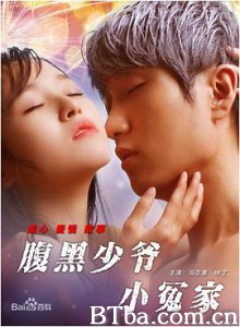 腹黑少爷小冤家 (2017) 1080P BT磁力 迅雷网盘下载