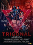 铁三角：正义之战/The Trigonal: Fight for Justice