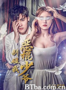 恶棍少爷别碰我 (2018) 1080P BT磁力 迅雷网盘下载