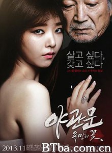 夜关门：欲望之花 야관문 : 욕망의 꽃 (2013)  BT磁力 迅雷网盘下载