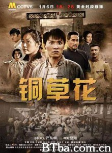 铜草花 (2020) 1080P BT磁力 迅雷网盘下载