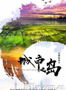 城市之岛 (2020) 1080P BT磁力 迅雷网盘下载