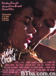 野兰花/Wild Orchid
