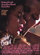 野兰花/Wild Orchid