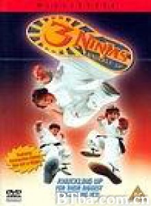 忍者小英雄3 3 Ninjas Knuckle Up (1995) 1080P BT磁力 迅雷网盘下载