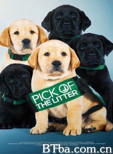 崽之抉择 Pick of the Litter (2018) 1080P/720P BT磁力 迅雷网盘下载