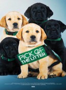 崽之抉择/Pick of the Litter