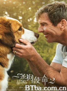 一条狗的使命2 再见亦是狗朋友2(港) 狗狗的旅程(台) (2019) 1080P/720P BT磁力 迅雷网盘下载