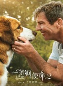 一条狗的使命2/再见亦是狗朋友2(港)/狗狗的旅程(台)