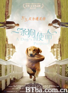 一条狗的使命 再见亦是狗朋友(港) 为了与你相遇(台) (2017) 1080P/720P BT磁力 迅雷网盘下载