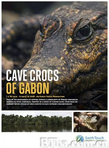Cave Crocs of Gabon Gabon barlangi krokodiljai (2018) 1080P BT磁力 迅雷网盘下载