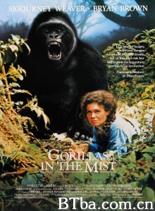迷雾森林十八年 Gorillas in the Mist: The Story of Dian Fossey (1988) 1080P/720P BT磁力 迅雷网盘下载