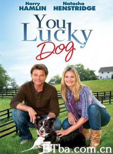 You Lucky Dog (2010) 1080P BT磁力 迅雷网盘下载