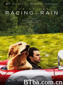 我在雨中等你 The Art of Racing in the Rain (2019) 1080P/720P BT磁力 迅雷网盘下载
